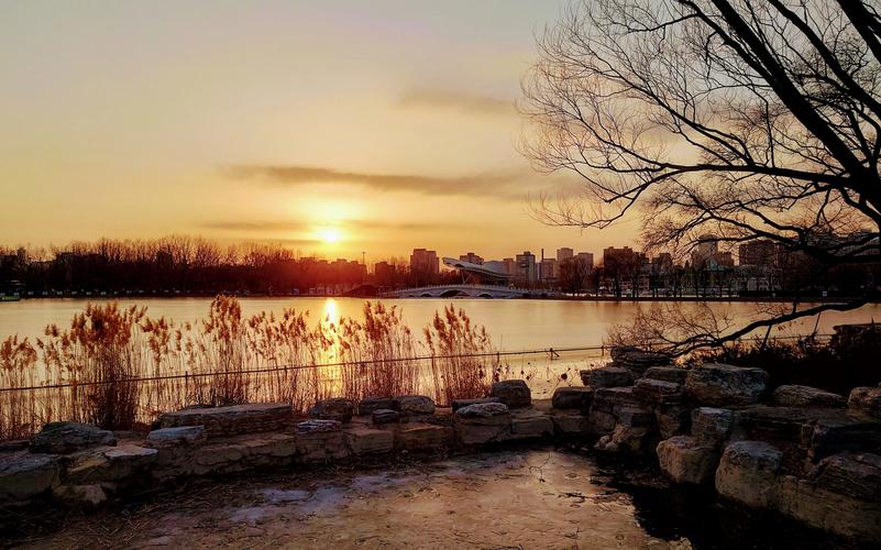 Chaoyang Park